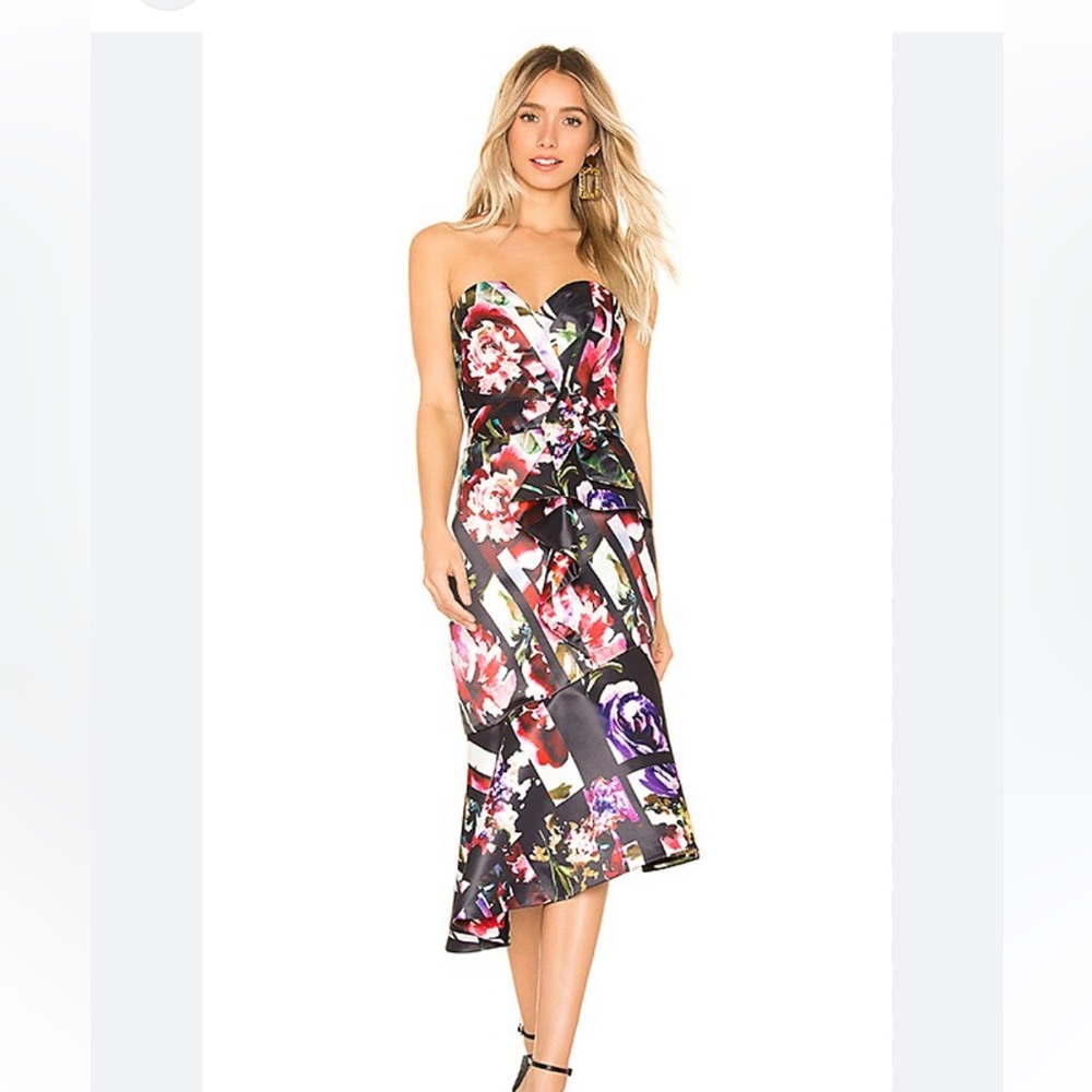 NWT Parker Midi Formal Floral Dress Size 2